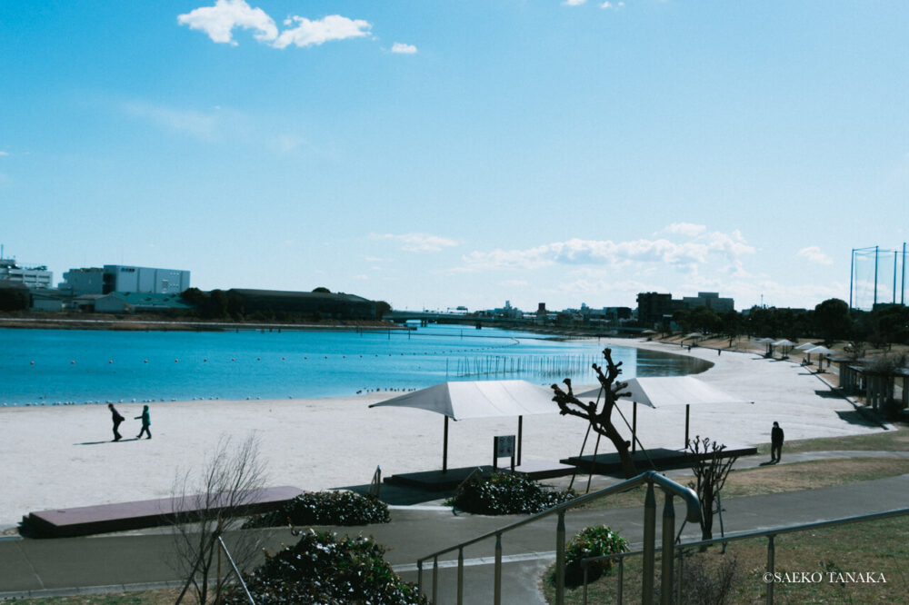 【一眼レフカメラ・レンズ作例：Nikon D7200｜AF-S DX NIKKOR 18-300mm f/3.5-6.3G ED VR】東京の人気写真撮影スポットで梅の名所でもある大森ふるさとの浜辺公園