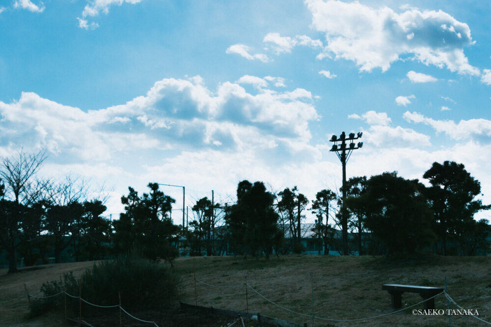 【一眼レフカメラ・レンズ作例：Nikon D7200｜AF-S DX NIKKOR 18-300mm f/3.5-6.3G ED VR】東京の人気写真撮影スポットで梅の名所でもある大森ふるさとの浜辺公園