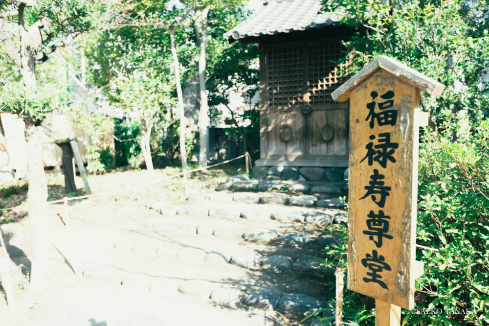 【一眼レフカメラ・レンズ作例：Nikon D7200｜SIGMA 10-20mm F3.5 EX DC HSM】東京の人気写真撮影スポットで梅の名所でもある向島百花園にある 福禄寿尊堂