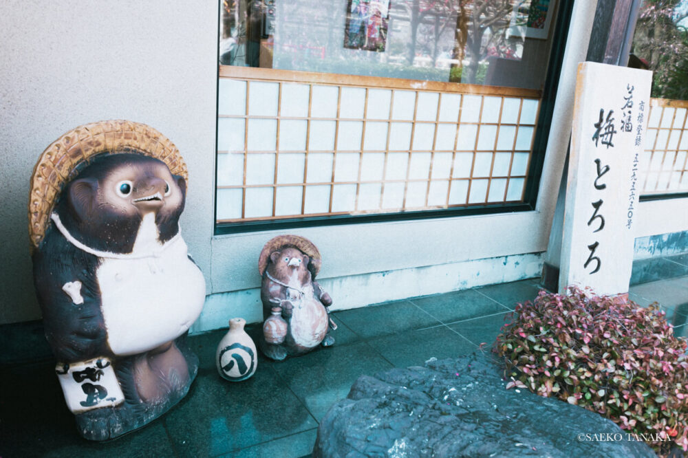 【一眼レフカメラ・レンズ作例：Nikon D7200｜SIGMA 10-20mm F3.5 EX DC HSM】東京の人気写真撮影スポットで梅の名所でもある亀戸天神社境内にある、懐石料理を提供する和食店『若福』の店頭のたぬきの親子の置き物