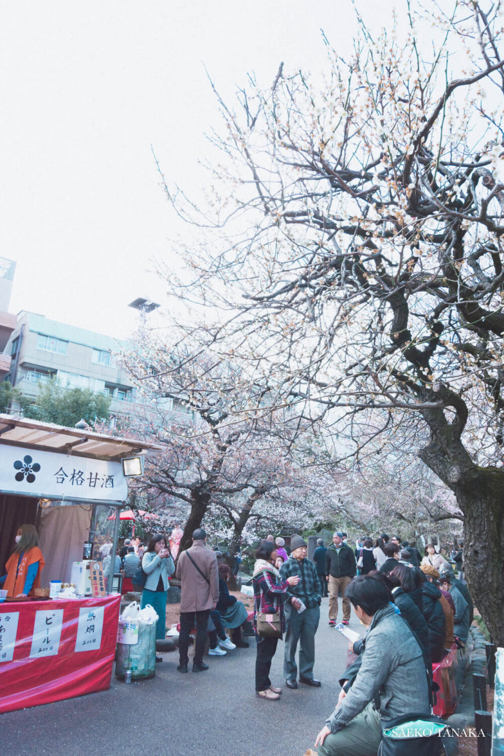 【一眼レフカメラ・レンズ作例：Nikon D7200｜SIGMA 10-20mm F3.5 EX DC HSM】東京の人気写真撮影スポットで梅の名所でもある湯島天満宮/湯島天神で開催された梅まつり