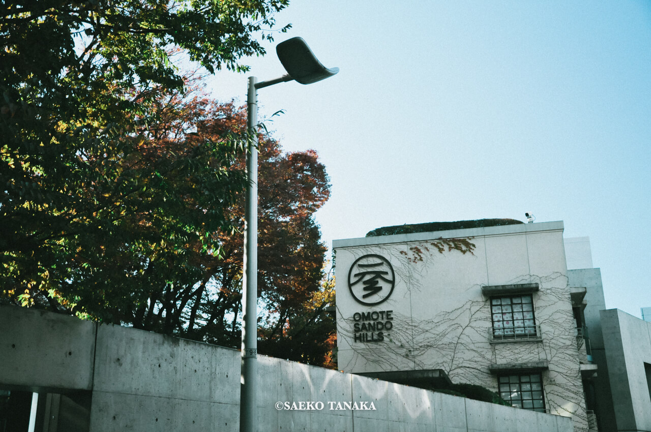 【一眼レフカメラ・レンズ作例：Nikon D90｜AF-S DX NIKKOR 18-105mm f/3.5-5.6G ED VR】東京フォト散歩に最適な、紅葉が美しい秋の表参道ヒルズと表参道の街並み
