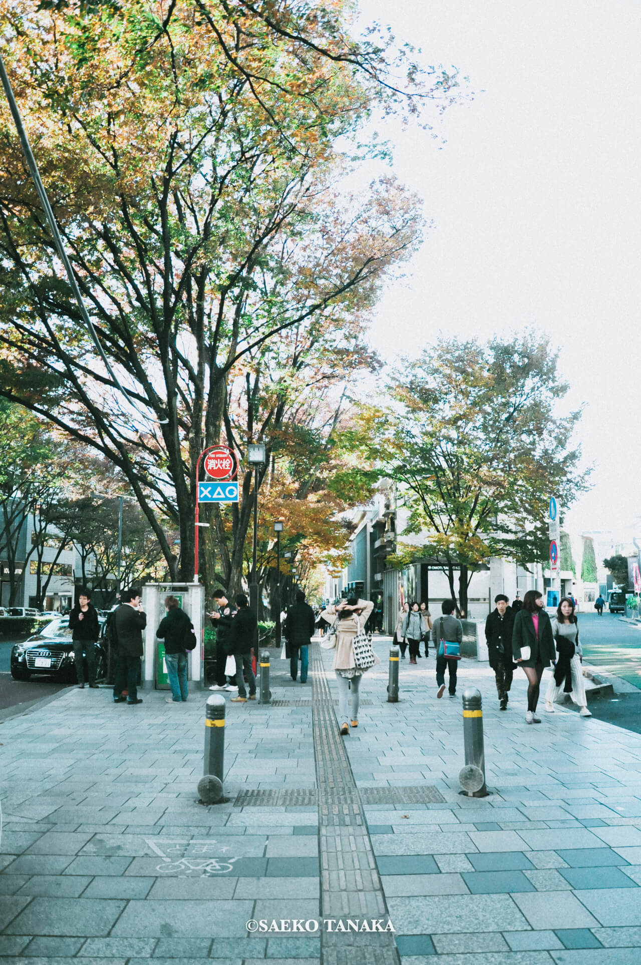 【一眼レフカメラ・レンズ作例：Nikon D90｜AF-S DX NIKKOR 18-105mm f/3.5-5.6G ED VR】東京フォト散歩に最適な、紅葉が美しい秋の表参道の街並み