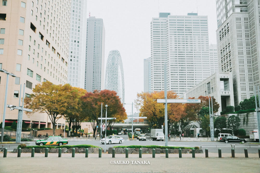 【一眼レフカメラ・レンズ作例：Nikon D90｜AF-S DX NIKKOR 18-105mm f/3.5-5.6G ED VR】東京フォト散歩に最適な、紅葉が美しい秋の新宿駅西口中央通り沿いの街並み
