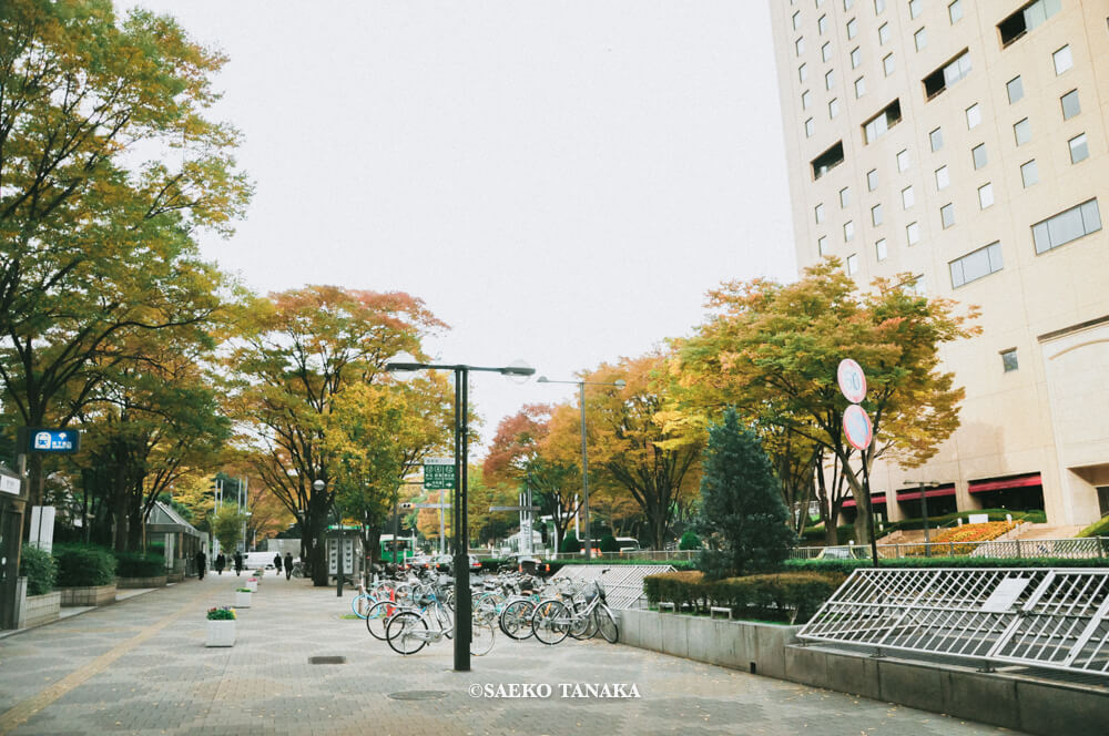 【一眼レフカメラ・レンズ作例：Nikon D90｜AF-S DX NIKKOR 18-105mm f/3.5-5.6G ED VR】東京フォト散歩に最適な、紅葉が美しい秋の新宿駅西口中央通り沿いの街並みとハイアットリージェンシー東京