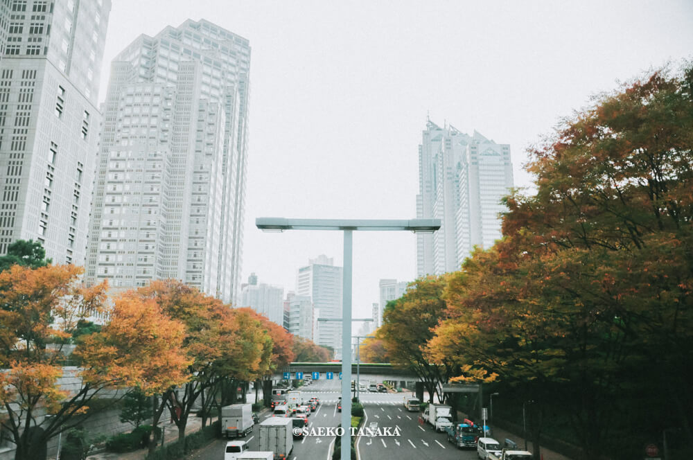 【一眼レフカメラ・レンズ作例：Nikon D90｜AF-S DX NIKKOR 18-105mm f/3.5-5.6G ED VR】東京フォト散歩に最適な、紅葉が美しい秋の新宿駅西口公園通り沿いの街並み