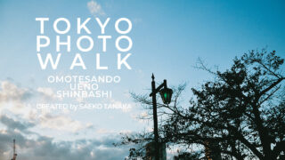 【一眼レフカメラ・レンズ作例：Nikon D90｜AF-S DX NIKKOR 18-105mm f/3.5-5.6G ED VR】東京フォト散歩に最適な、夕暮れ時が美しい秋の上野公園