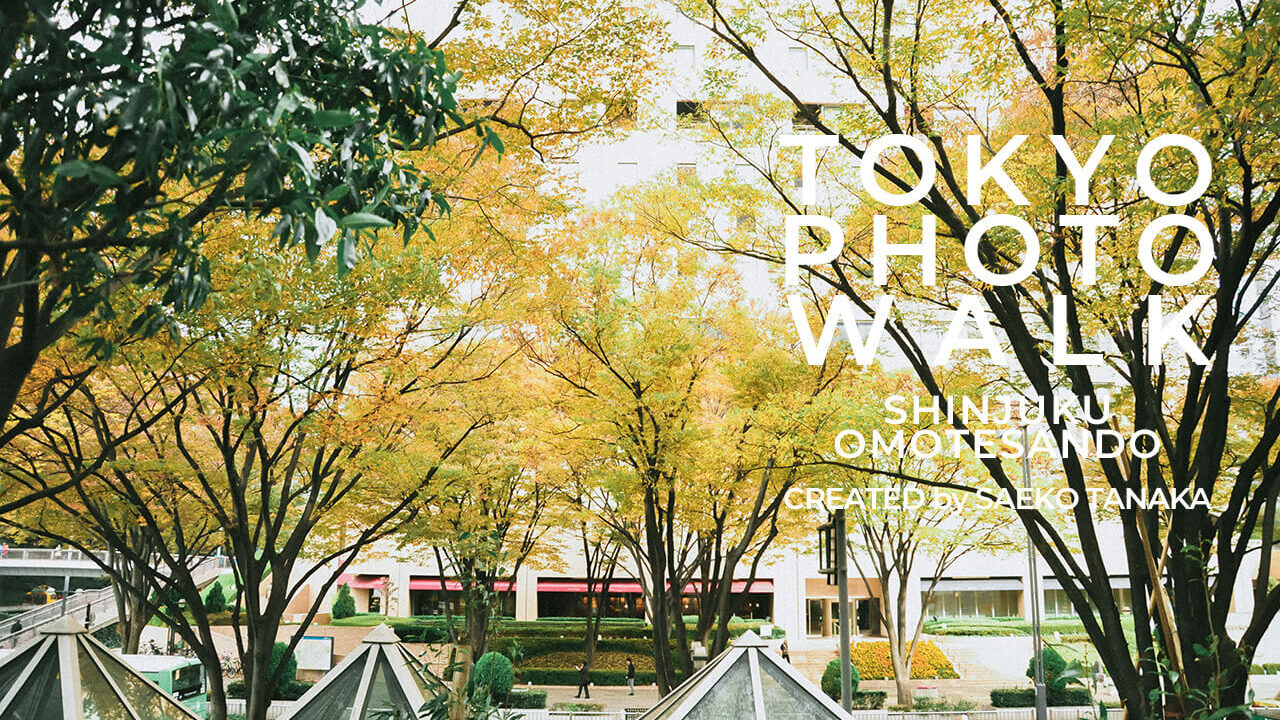 【一眼レフカメラ・レンズ作例：Nikon D90｜AF-S DX NIKKOR 18-105mm f/3.5-5.6G ED VR】東京フォト散歩に最適な、紅葉が美しい秋の新宿駅周辺の街並み